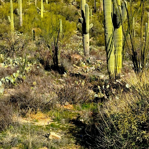 Meet your Posher, Nicole - Picture 1 of 1